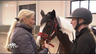 Was tun, wenn ein Pferd zu wild ist - Andrea Kutsch im ZDF