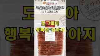 도그피아 쇼핑몰 - 행복한 강아지 세상  #쇼핑몰