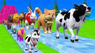 Paint & Animals Cow,Monkey,Dog,Rabbit,Camel,Elephant Fountain Crossing Transformation Animal Cartoon