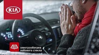 Сезонное предложение Kia | Теплые опции