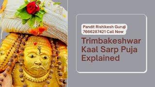 Trimbakeshwar Pujari - Pandit Rishikesh Guruji  is live
