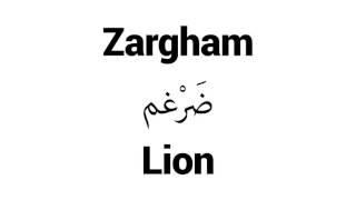 How to Pronounce Zargham! - Middle Eastern Names