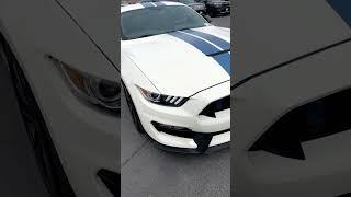 The Only Mustang Worth Buying! Shelby GT350 Heritage Edition