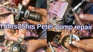 16 hrs 25 hrs power Peter engine fuel pump repairing