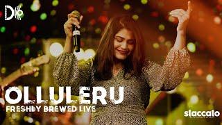 OLLULLERU  | Staccato | Live | Freshly Brewed