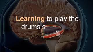 Does Drumming Help  Depression? | The Science of Drumming