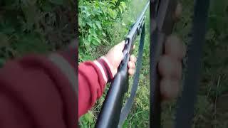espingarda velha antiga Rossi cão curto sextavada#caçadas#cartucheira#rossi#espingarda