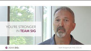 ASHA Special Interest Groups: You're Stronger in Team SIG