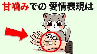 【知らなきゃヤバイ!?】飼い主泣かせの猫の行動【15選】 #雑学 #豆知識 #トリビア