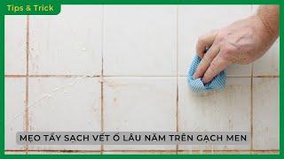 Mẹo TẨY SẠCH VẾT Ố VÀNG lâu năm trên GẠCH MEN hiệu quả, nhanh chóng, CỰC DỄ LÀM  - Bách hoá XANH