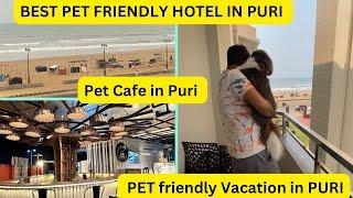 Pet Friendly HOTEL details In PURI  | ROOM TOUR | PET CAFE in PURI | পুরীতে আমাদের প্রথম দিন ️