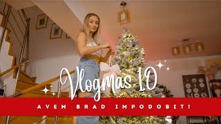 VLOGMAS 10  Avem brad impodobit!