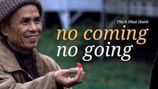 "No birth, no death. No coming, no going." | Teaching by Thich Nhat Hanh | #mindfulness