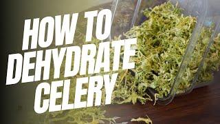 How to Dehydrate Celery: Step-by-Step Instructions for Beginners