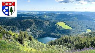 Black Forest: Feldberg 1493 m - Feldbergsteig Feldsee circular hike 12 km