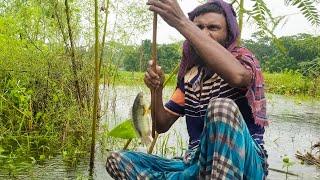 বৃষ্টির দিনে গ্রামে প্রকৃতির সাথে মাছ ধরা || Rainy Day fishing, with nature | Life of Bangladesh