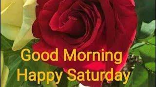 Saturday good morning rose photos !! Good morning flowers picture images