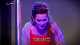 1/3 Don Giovanni 1st part (out of 3) 2016, ZNOJMO, CZECH, hardsubs, WAM & LdP