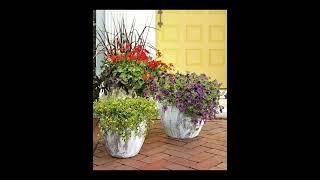 Creative Ideas For Beautiful Landscaping #gardening #landscape #youtubeshorts