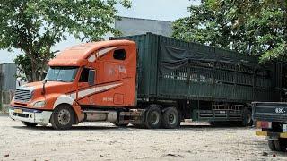 Trucks in Vietnam 