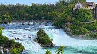 Visit Rhine Falls, Switzerland 4K - Amazing Waterfall on the Earth