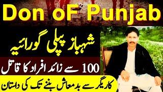 Shahbaz Pipli Goraya History and Biography || Shahbaz Pipli Goraya || ARS Pakistan