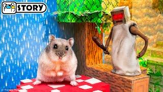 Hamster vs Granny in the Minecraft Dungeons - Soggy Swamp  Homura Ham Pets