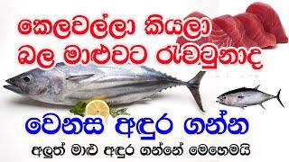 Amazing Fish Cutting Skills Talk With Saffron /Fish Cutting/Kelawalla/Balaya/Fish Cutting Sri Lanka