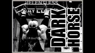 DARKHORSE Program PERFECTED! CONJUGATE $25 Programs Available or Set it Up Yourself for FREE!