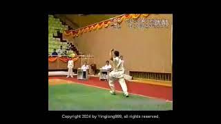 Wu Gang's crazy changquan jumps from 1998 #wushu #jumps #kungfu #stunt #changquan