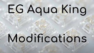 EG Aqua King Modding and Lubing