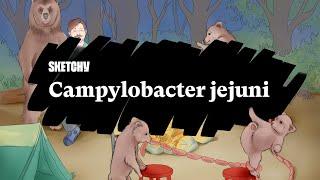 Campylobacter jejuni: Causes, Symptoms & Complications (Full Lesson)| Sketchy Medical | USMLE Step 1