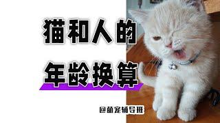 1岁的猫咪相当于人类多少岁呢？你家猫咪多少岁了呢？