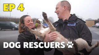 The Dog Rescuers: Episode 4 - Service Dogs - Animal Documentary