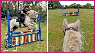 Jumping My New Pony!