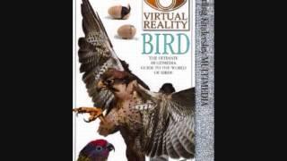 Eyewitness Virtual Reality Bird OST