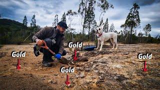How to Find GOLD & track it back to the BIGGEST deposits!