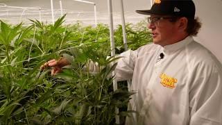 James Loud Genetics Facility Tour & Trip w/ Chad Westport