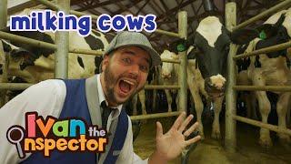 Ivan Inspects Milking Cows | Fun and Educational Videos for Kids and Toddlers