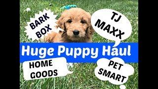 Our New Puppy | Bark Box | Puppy Haul TJ Maxx, Home Goods, Pet Smart