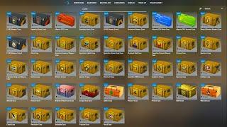 I Sold My Entire Inventory to Open Every Case in CS2!