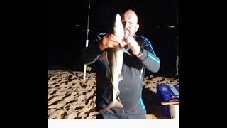 Australia #surf #beach #fishing at night