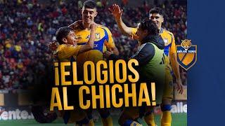 Veljko Paunovic habla del RENDIMIENTO de Chicha Sánchez | Tigres vs Tijuana