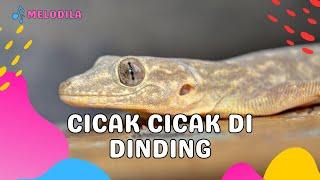  LAGU CICAK CICAK DI DINDING VERSI REMIX - Lagu Anak Balita | Lagu Anak Indonesia | Lagu Anak