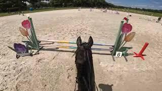 GoPro: Rex (Starter | 2024 Majestic Oaks April Schooling Show)