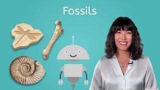 Fossils - Earth Science for Kids!