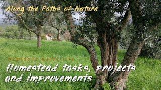 HOMESTEAD TASKS, PROJECTS AND IMPROVEMENTS (Inside and outside work at rural Central Portugal) *26