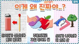 이게 다 진짜라고..? 기존에 알고있던 상식을 완전히 깨버리는 뜻밖의 사실들 TOP10