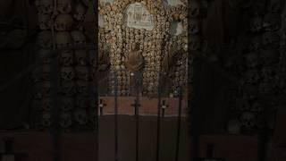 3700 Bodies Are in This Crypt  #shorts #youtuber #capuchins