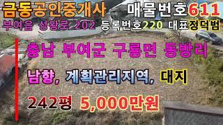 611도로에 접한 계획관리지역 대지 부여땅 부여부동산